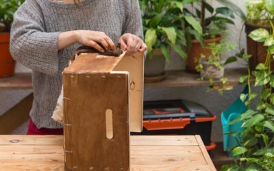 Co można zrobić z drewnianych skrzynek w domowym wnętrzu?