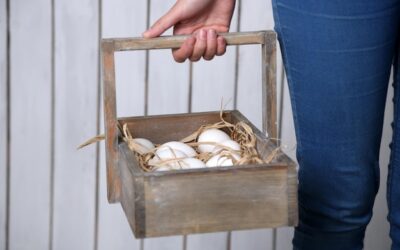 Co zrobić z drewnianych skrzynek w domu i ogrodzie?
