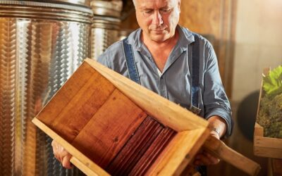 Jak odnowić stare meble sosnowe bez użycia specjalistycznych narzędzi?