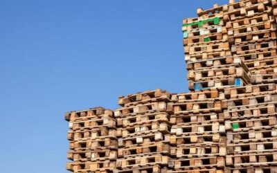 Co z paletami po remoncie domu?