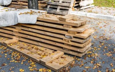 Co można zrobić z palet na działce?