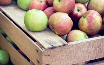 Co zrobić ze skrzynek po jabłkach w domu i ogrodzie?