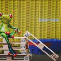 Jak zrobić ławkę i stół z palet do ogrodu i domu
