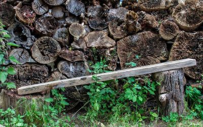 Jak zrobić ławkę ogrodową z bali i cieszyć się naturalnym wnętrzem